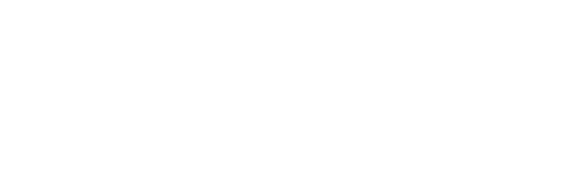 Conexão Info